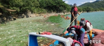 옥천 대청호 상류 녹조와의 전쟁