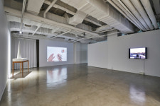 젊은 작가가 펼치는 예술의 세계