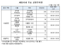 세종시내 공영주차장 무료 개방 시간 는다