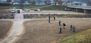 내년 봄 보청천 둔치 노란 꽃물결 기대