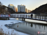 올 겨울 들어 첫 얼음 언 세종시 신안저수지