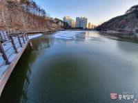 올 겨울 들어 첫 얼음 언 세종시 신안저수지