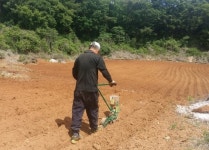 단양군 농업기술센터, 벼·밭작물 품목별 신청 시작