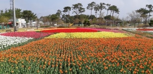 녹색도시 청주 실현 1천597억 푼다