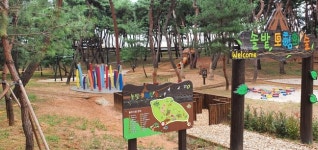 청주 솔밭근린공원 유아숲체험원 교육 호응