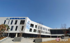 세종시 코로나19 누적 환자 300명 넘었다