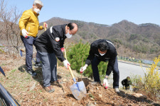 단양군, 제76회 식목일 행사서 감나무 300주 식재