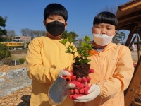 충주 대미초, 학교 숲 내 나무 갖기 행사