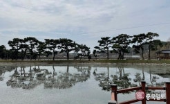110차 충북일보 클린마운틴 - 칠곡 한티 가는 길
