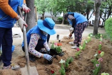 청주 흥덕시니어클럽, 꽃묘 심기활동
