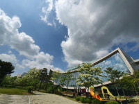 국립세종도서관의 이팝나무꽃과 뭉게구름