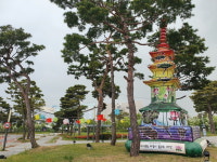 국립세종도서관의 이팝나무꽃과 뭉게구름