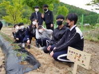 단양소백산중학교, 하늘정원과 텃밭 가꾸기