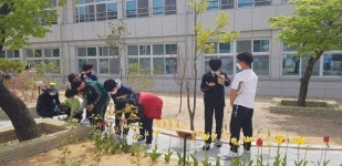 제천 홍광초등학교 초록학교 희망나눔 숲 학교 프로그램 눈길
