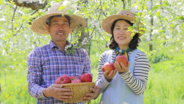 한국관광공사 세종충북지사 관광두레