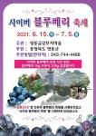 영동금강모치마을, 사이버블루베리축제 열어