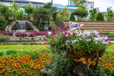 증평군, 해설과 함께하는 도보여행