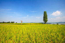 아침을 여는 詩 - 가을 풍경