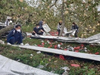 사과 농가 찾아 일손도와