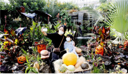 국립세종수목원에서 핼러윈데이 분위기 느끼세요