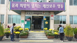 국화꽃 향기 가득한 영동군 양강면사무소
