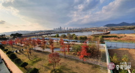세종시 금강보행교 활용 아이디어 찾아요