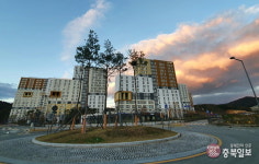 세종 아파트단지에 들어선 까치집