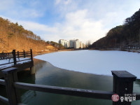 얼음 꽁꽁 언 세종시 신안저수지