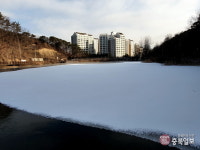 얼음 꽁꽁 언 세종시 신안저수지