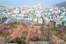 충북 핫플레이스 - 청주시 ①원도심·신도심