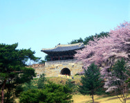 충북 핫플레이스 - 청주시③심신 치유 명소