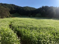 충북 핫플레이스 - 청주시③심신 치유 명소