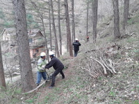 단양국유림관리소, 숲 가꾸기 패트롤 본격 운영