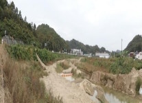 청주 월운천에 수달·황조롱이가 돌아왔다