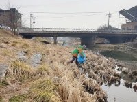 충주 봉방동통장협, 봄맞이 청결활동 전개