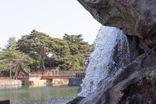 제천시SNS서포터즈 - 봄 기운 완연한 의림지