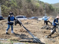 남제천농협, 농협 제천시지부와 함께 환경정화