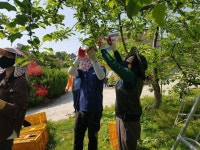 이재숙 흥덕구청장, 농가 방문 일손돕기