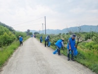 충주시 소태면주민자치위, 보리수길 환경정화