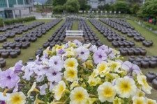 제천시SNS서포터즈 - 의림지와 한방엑스포공원 색깔 정원