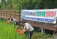 충주시, 대륙송사리 방류로 생태계 복원 앞장