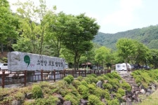 충북도SNS서포터즈 - 단양 소선암오토캠핑장