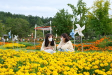 가을빛 물든 노근리 평화공원