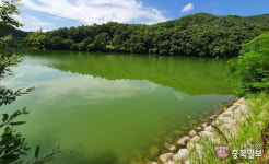 충북 33개 저수지 물고기 못 산다