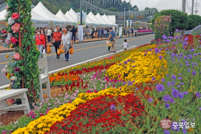 3년만의 청원생명축제, 연일 흥행