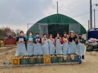청주 청원보건소, 농촌일손돕기