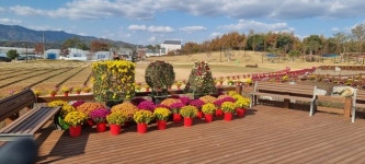 증평군농업기술센터, 생활원예프로그램(국화반) 운영