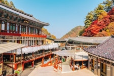 충북도SNS서포터즈 - 단양구인사와 보발재 단풍