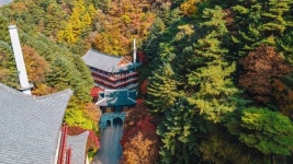 충북도SNS서포터즈 - 단양구인사와 보발재 단풍
