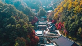충북도SNS서포터즈 - 단양구인사와 보발재 단풍
